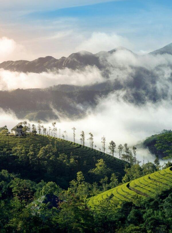 Rajamala hills Munnar Kerala scenic landscape in Western Ghats