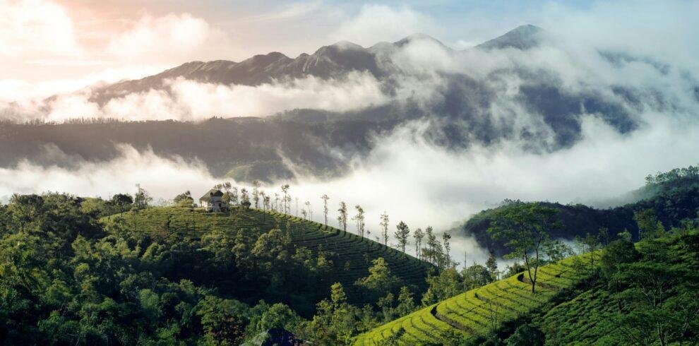 Rajamala hills Munnar Kerala scenic landscape in Western Ghats