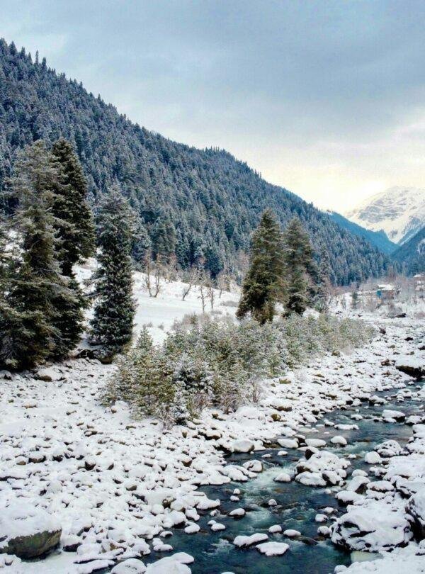 Scenic Sindh River flowing through Sonamarg riverbank with Himalayan mountains in Jammu & Kashmir, India